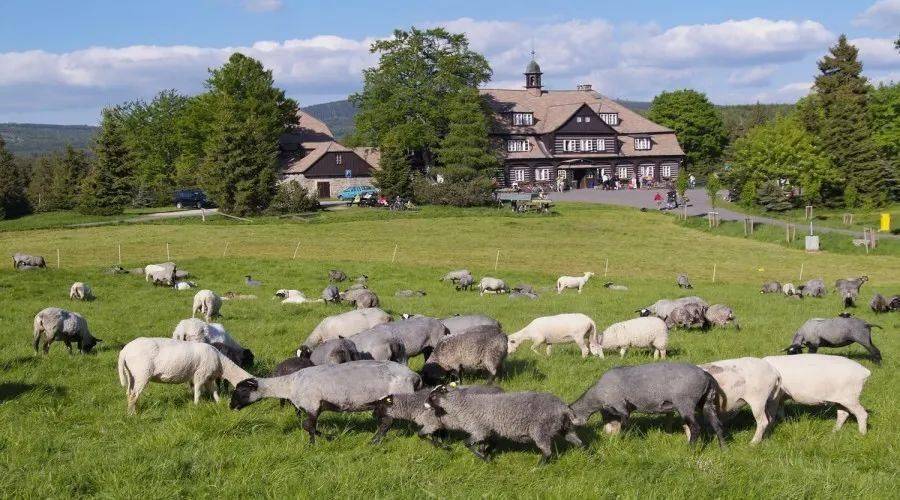 关于捷克超级联赛狂热！利贝雷茨主场2-1小胜兹林，豪取开门红的信息