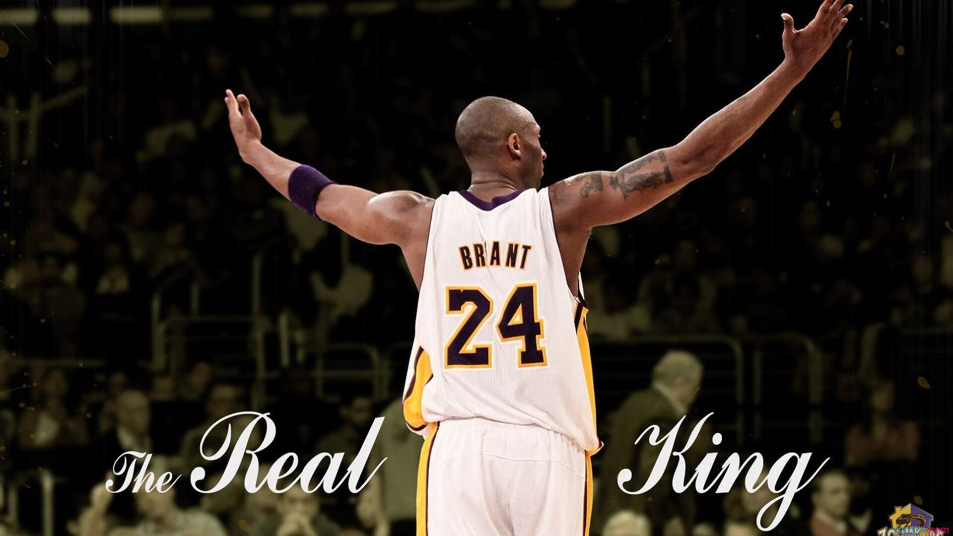 红牛二队大卫掀翻歌利亚，汉密尔顿逆境中的惊艳演出